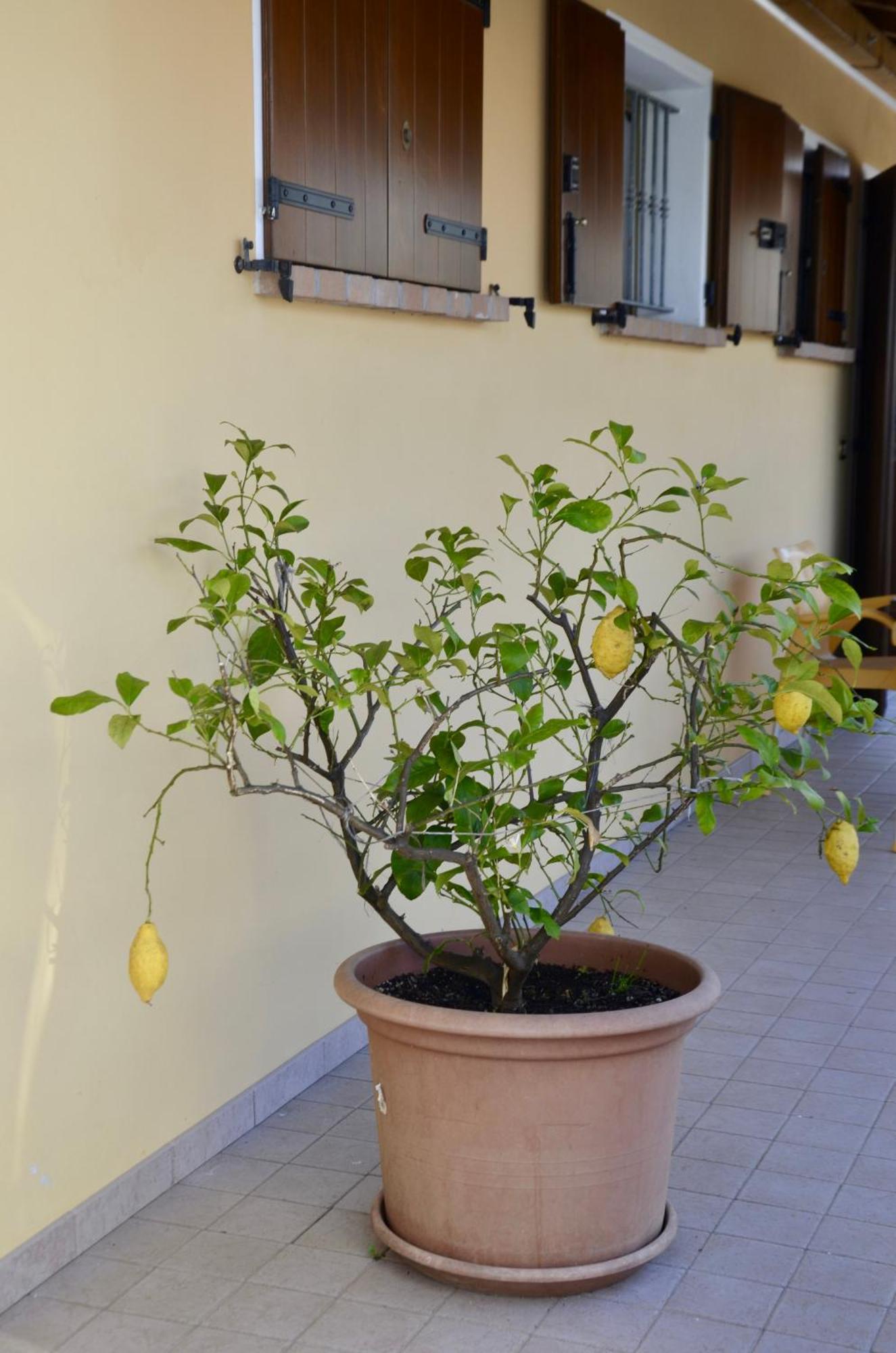 A Casa Di Amici Villa Vidor Exterior foto